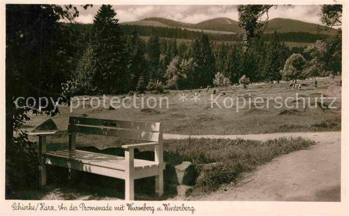 Schierke Harz Promenade mit Wurmberg und Winterberg