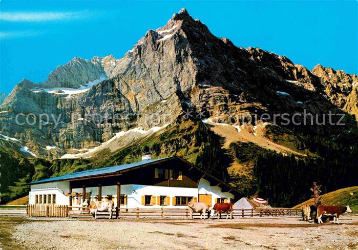 Eng Alm Rasthuette Almvieh Kuehe Karwendelgebirge