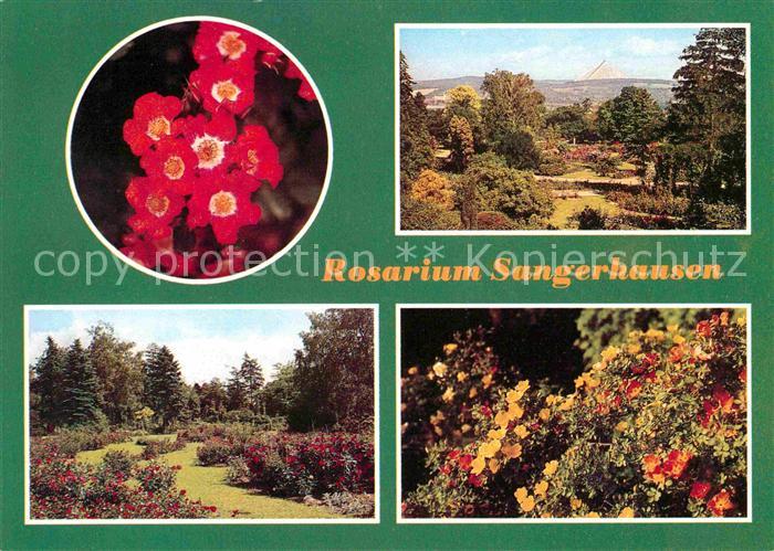 Sangerhausen Suedharz Rosarium