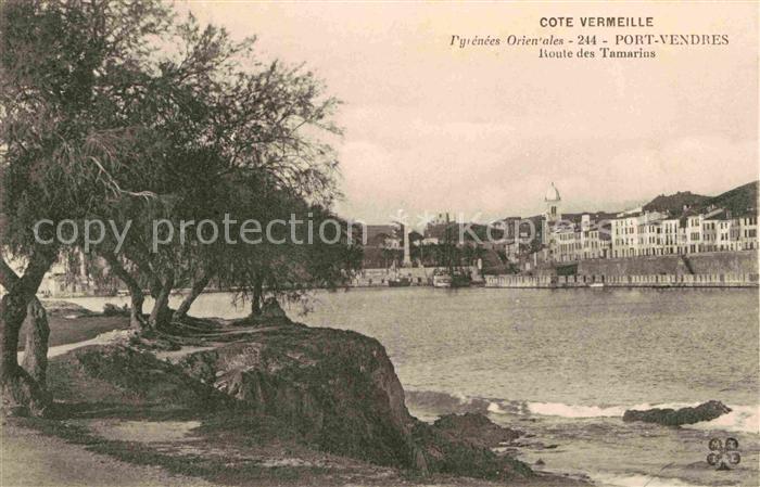 Port-Vendres Cote Vermeille Route des Tamarins