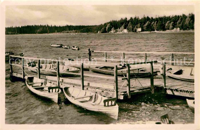 Schneeberg Erzgebirge Filzteich Bootssteg