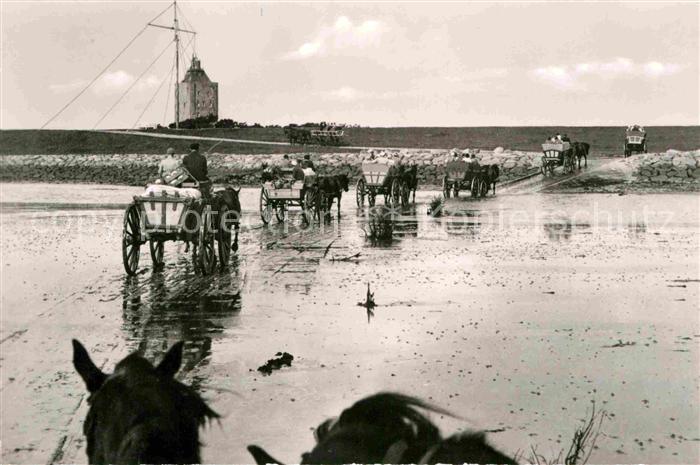 Duhnen Nordsee Nordseeheilbad Ankunft der Wattwagen auf der Insel Neuwerk