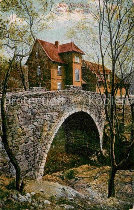 Bad Harzburg Auf dem Burgberg Steinbruecke