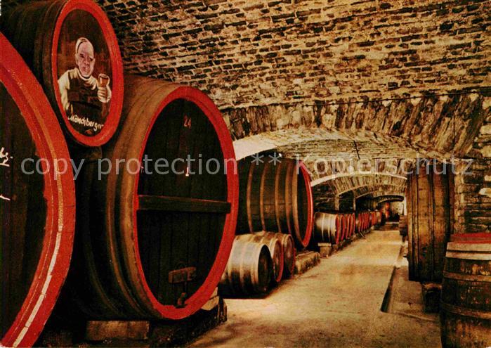 Mayschoss Mayschosser Winzerverein Weinkeller aelteste und groesste Winzergenoss