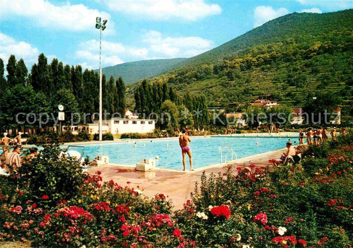Neustadt Weinstrasse Schwimmbad Freibad