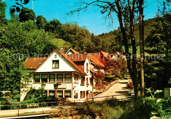 Wildemann Harz Goslar Niedersachsen Kneippkurort Haus Sonnenglanz