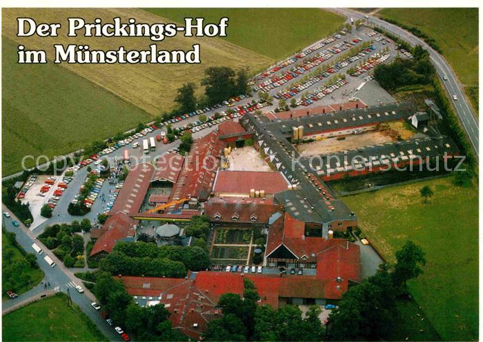 Sythen Prickings Hof Fliegeraufnahme