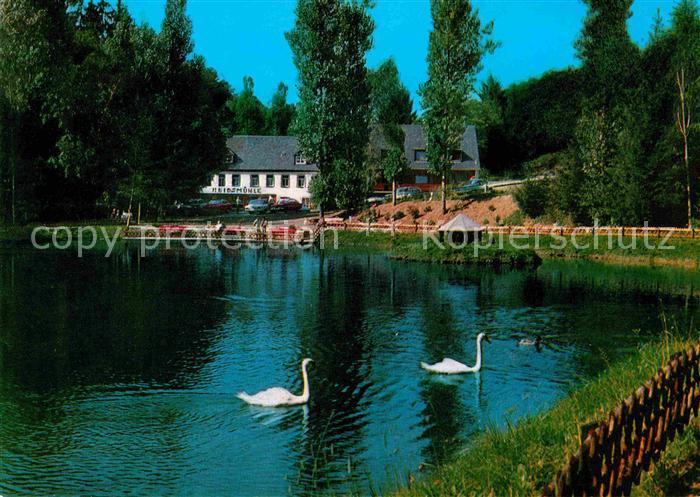 Manderscheid Eifel Cafe Restaurant Hotel Heidsmuehle