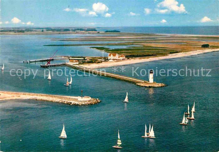 Schleimuende Fliegeraufnahme