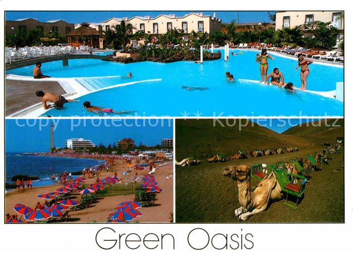 Maspalomas Bungalows Green Oasis Swimming Pool Strand Kamele