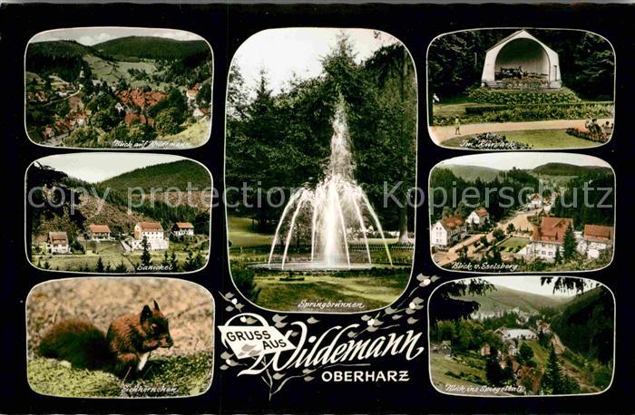 Wildemann Harz Goslar Niedersachsen Ortsblick Springbrunnen Kurpark Sanickel Ese