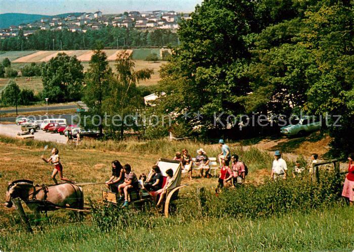 Malsfeld Panorama Pferdekutsche