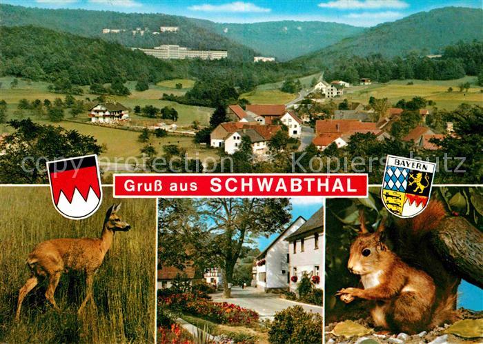Schwabthal Panorama Reh Dorfmotiv Eichhoernchen