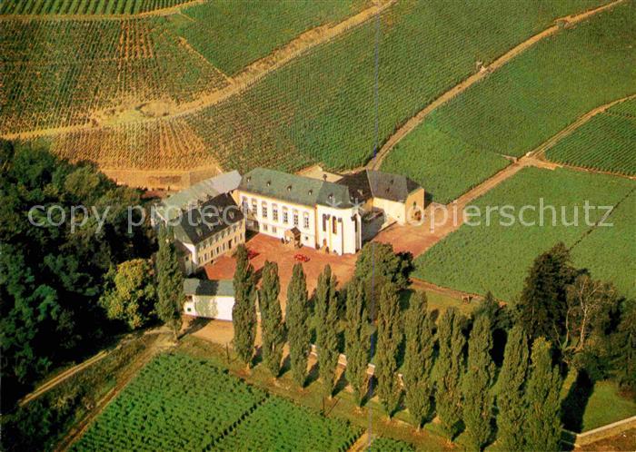 Wehlen Mosel Kloster Machern Fliegeraufnahme