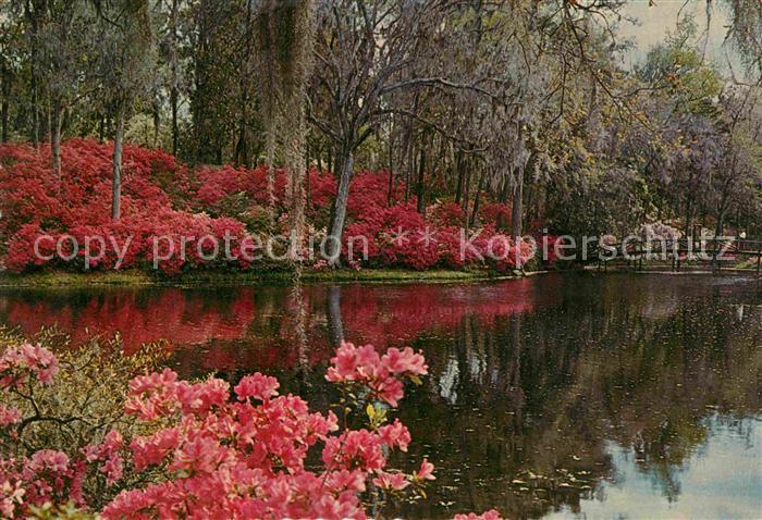 Charleston Arkansas Middleton Gardens