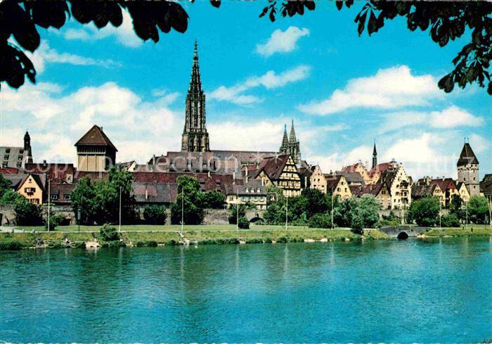 Ulm Donau Muenster Panorama