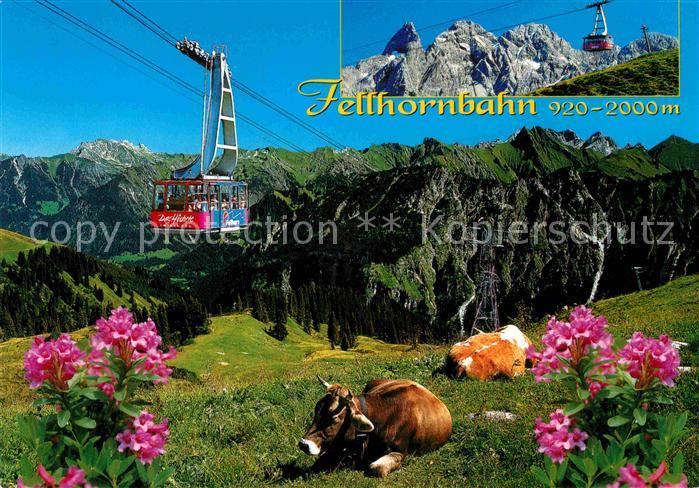 Seilbahn Fellhorn Oberstdorf Alpenrosen Kuehe