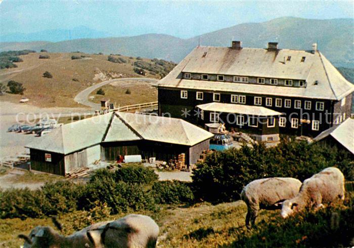 Grand Ballon Berghaus Schafe