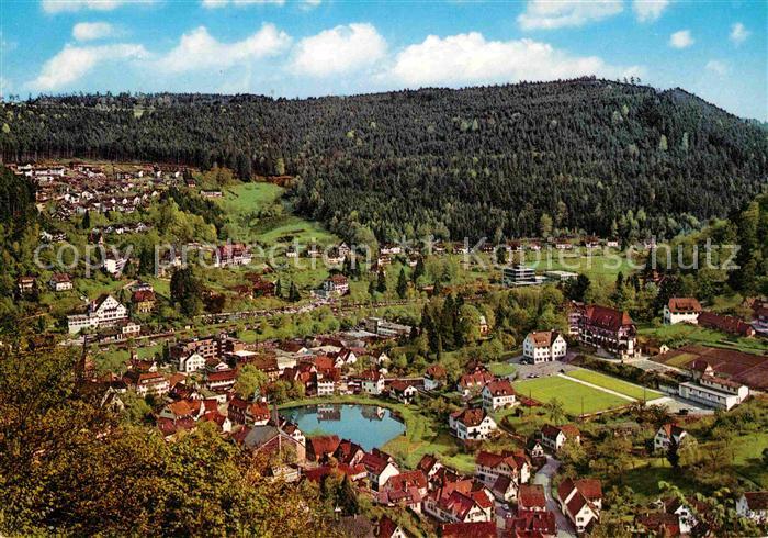 Bad Liebenzell Fliegeraufnahme