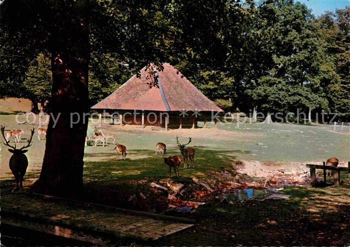 Dornholzhausen Taunus Hirschgarten