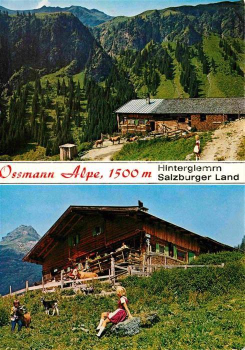 Hinterglemm Saalbach Ossmann Alpe Ausflugsziel Allgaeuer Alpen Wandern