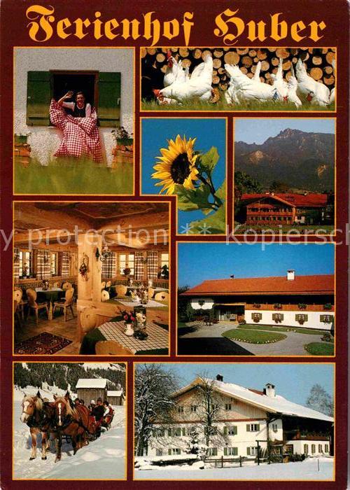 Brunnen Schwangau Hotel Landgasthof Cafe Ferienhof Huber am Forggensee Huehner S