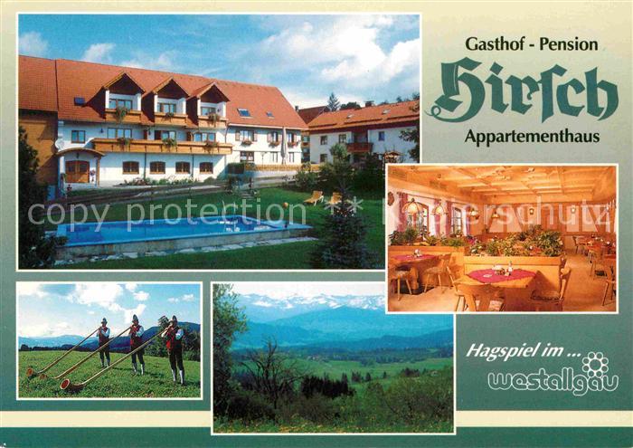 Scheidegg Allgaeu Gasthof Pension Hirsch Appartementhaus Swimming Pool Hornblaes