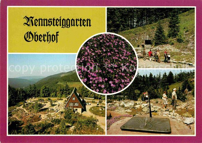 Oberhof Thueringen Rennsteiggarten Gebirgsflora Wandern Berghaus