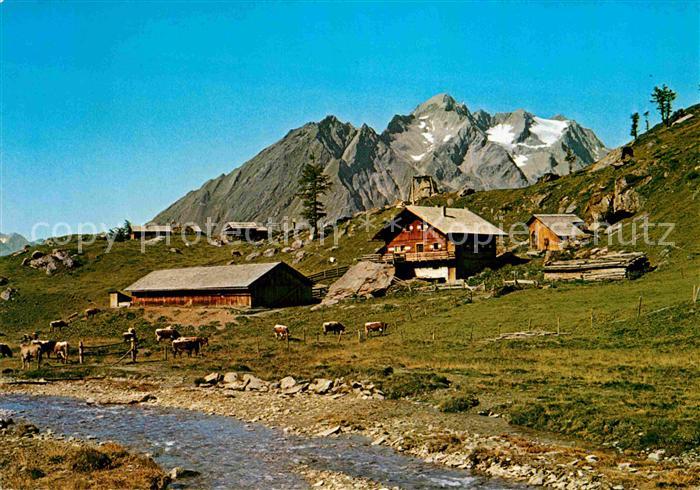 Matrei Osttirol Steiner-Alm Kristallkopf Hintereggerkogel