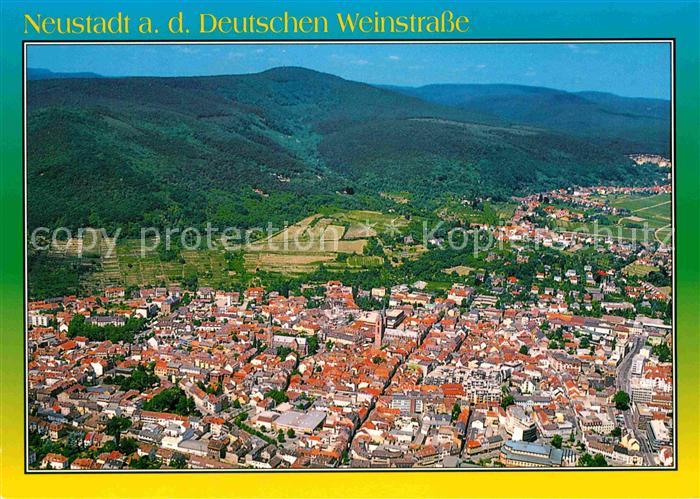 Neustadt Weinstrasse Fliegeraufnahme