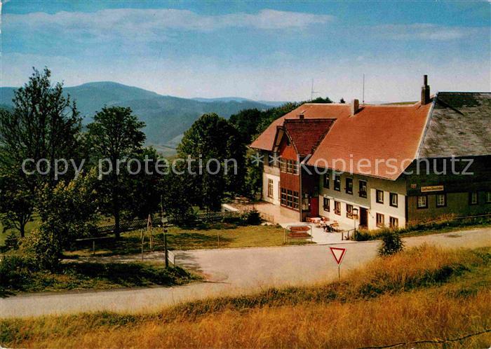 Muenstertal Schwarzwald Giesshuebel Gasthof Pension am Schauinsland