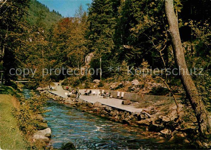 Wildbad Schwarzwald Enzanlagen