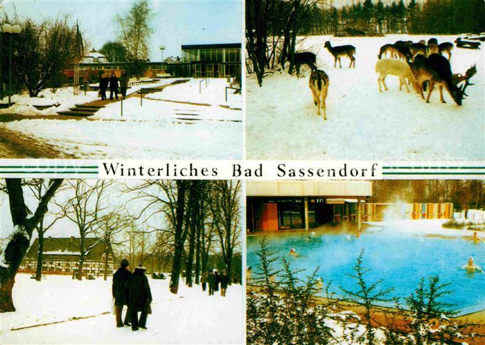 Bad Sassendorf Kurmittelhaus Wintzingerode Park Kurpark Sole Thermal Bewegungsba
