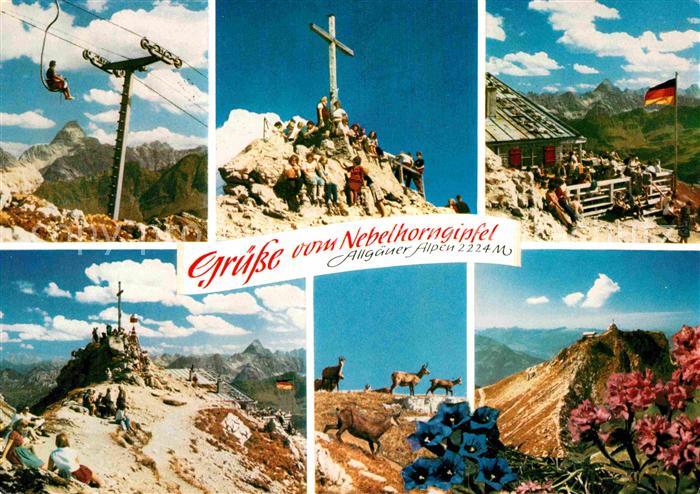 Oberstdorf Nebelhorn Bergbahn Gipfelkreuz Hochvogel Berghuette Gemsen Alpenflora