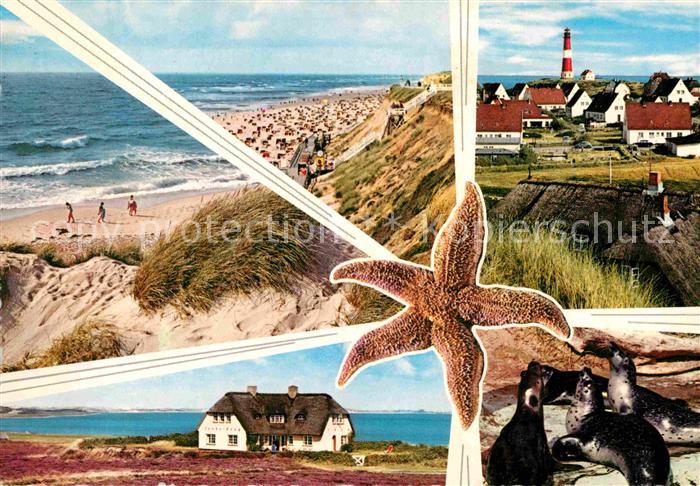 Westerland Sylt Strand Duenen Leuchtturm Seehund Seestern