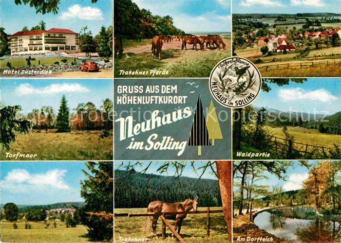 Neuhaus Solling Hotel Duesterdiek Trakehner Pferde Waldpartie Landschaftspanoram