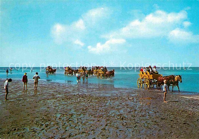 Insel Neuwerk Wattenfahrt Pferdewagen