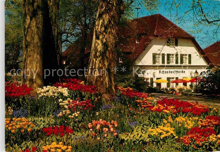 Insel Mainau Schwedenschenke im Fruehling