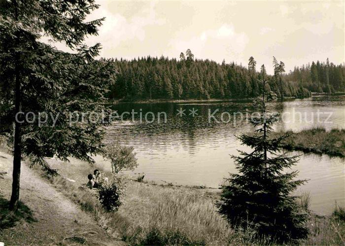 Tannenbergsthal Vogtland Vogtland See