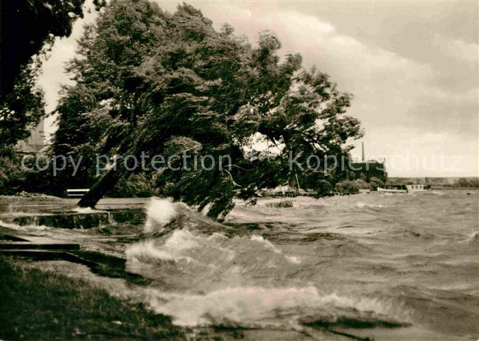 Waren Mueritz Die Mueritz bei Sturm