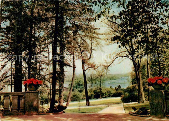 Mainz Rhein Mainmuendung