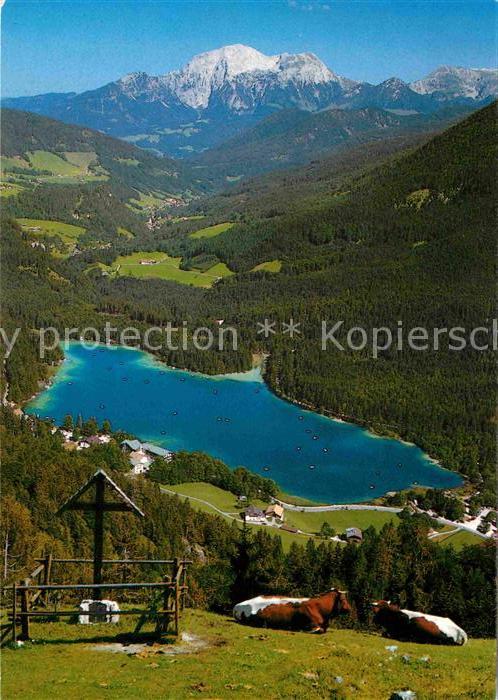 Hintersee Allgaeu Blick von der Halsalm