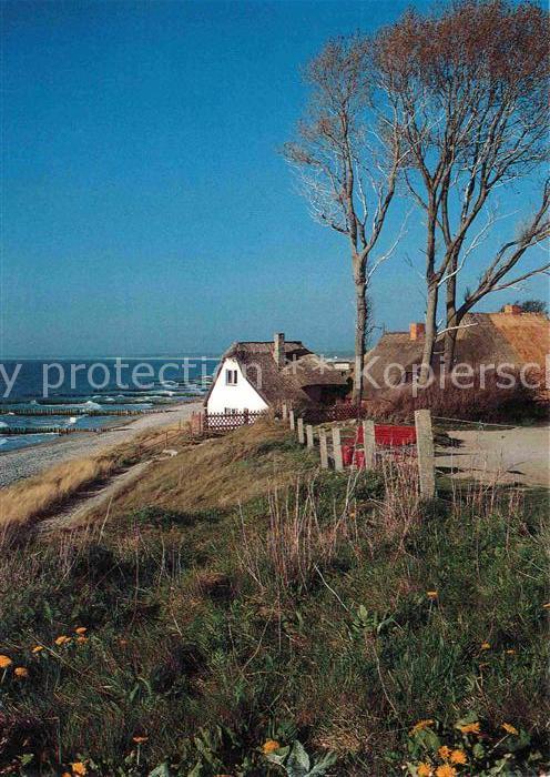 Ahrenshoop Ostseebad Wohnhaeuser am Strand Darss