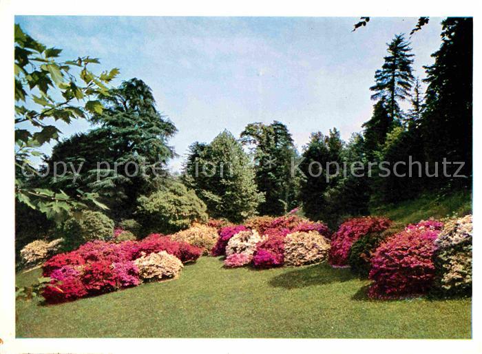 Bellagio Lago di Como Villa Melzi Park