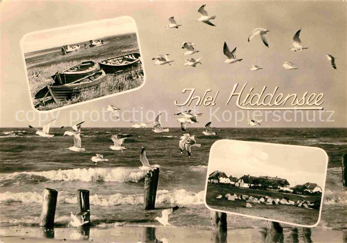 Neuendorf Hiddensee Fischerboote Strand Moewen