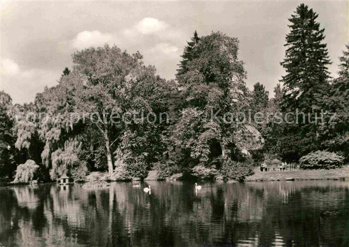 Bad Liebenstein Elisabeth Park Schwanenteich