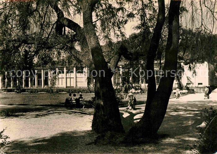 Bad Elster Wandelhalle