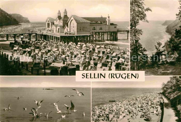 Sellin Ruegen Seebruecke Waldhalle Badestrand Moewen