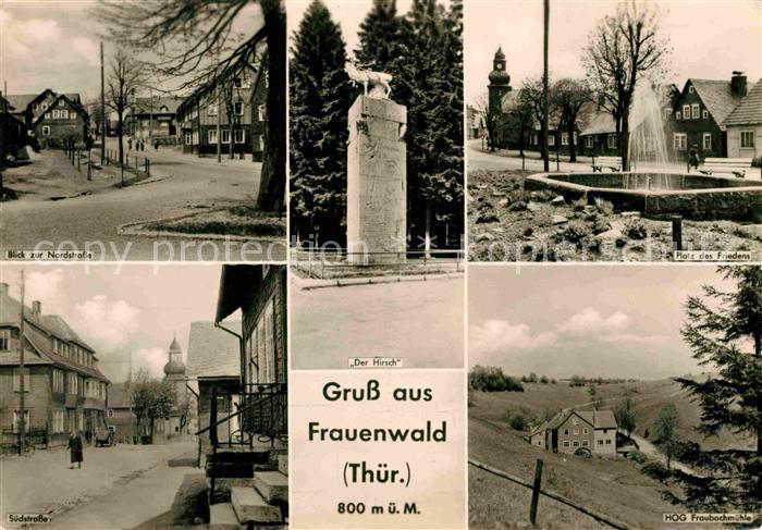 Frauenwald Thueringen Nordstrasse Hirsch Denkmal Platz des Friedens HOG Fraubach
