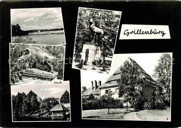 Grillenburg Bad Tharandter Wald Wildschwein Hirsch Skulptur Gondelteich Elsa Fen